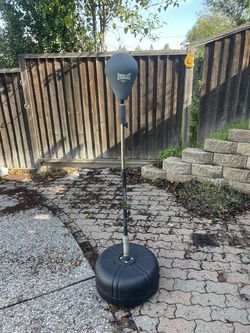 Everlast Adjustable Punching Bag