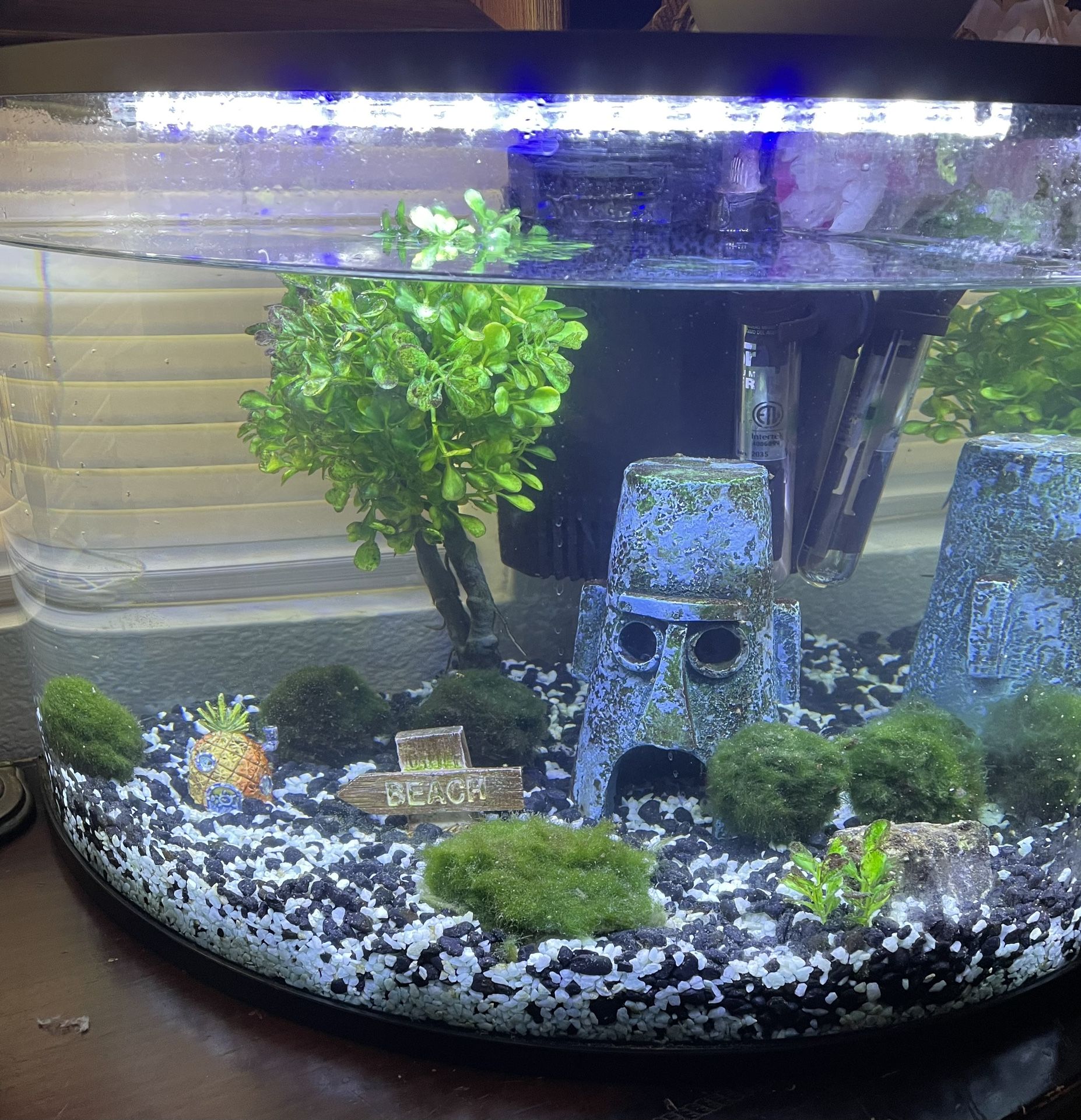 TopFin Corner Tank Aquarium 6 Gal.