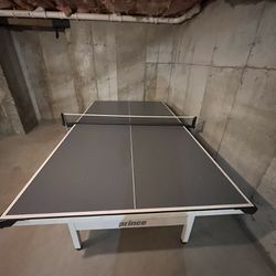Ping pong table  