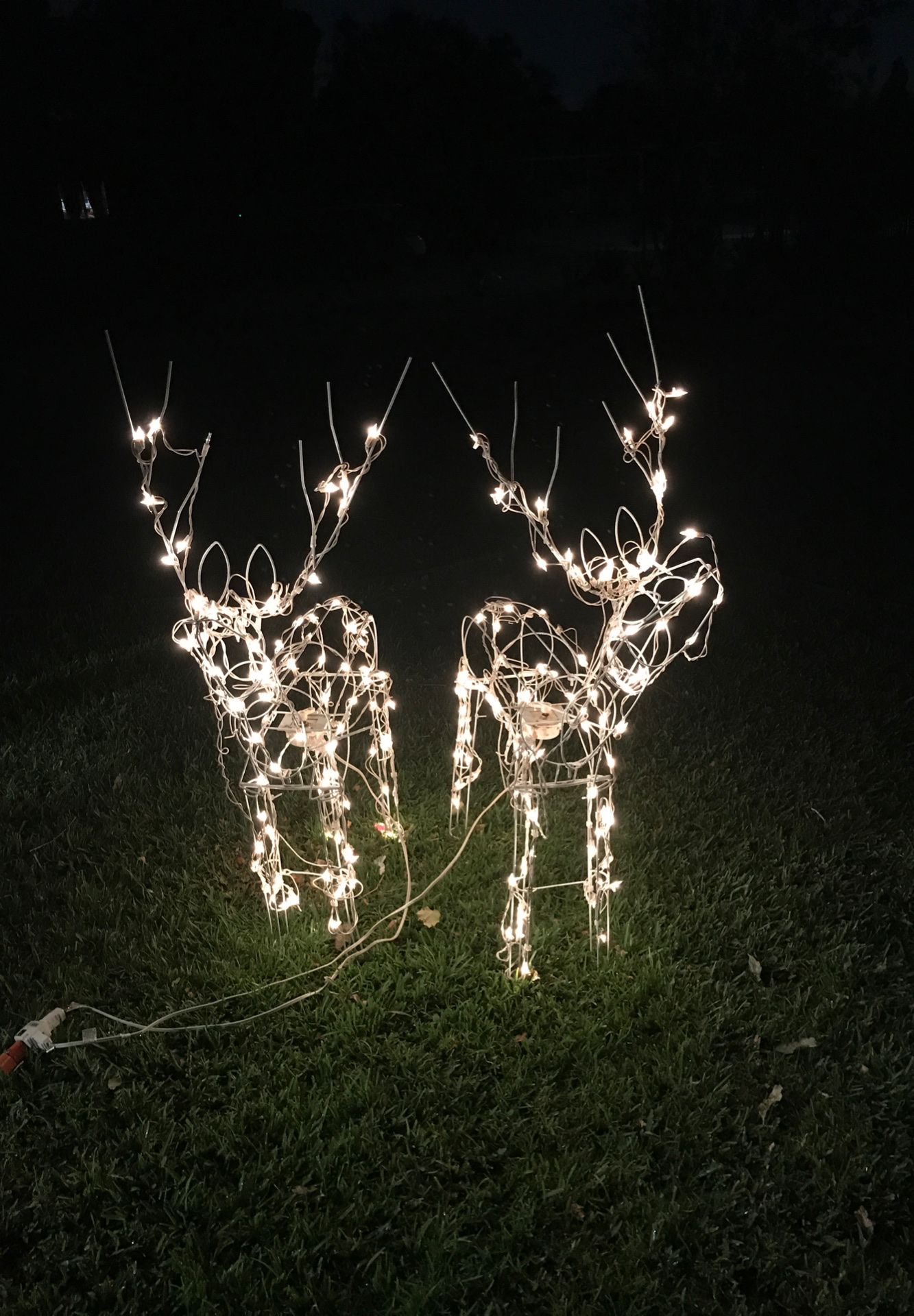 Christmas reindeers