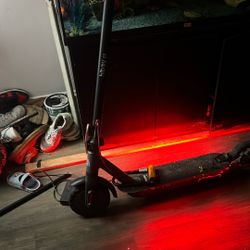 All He Needs Is A Back Fender