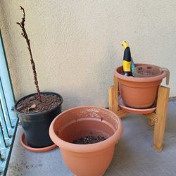 Garden Items 