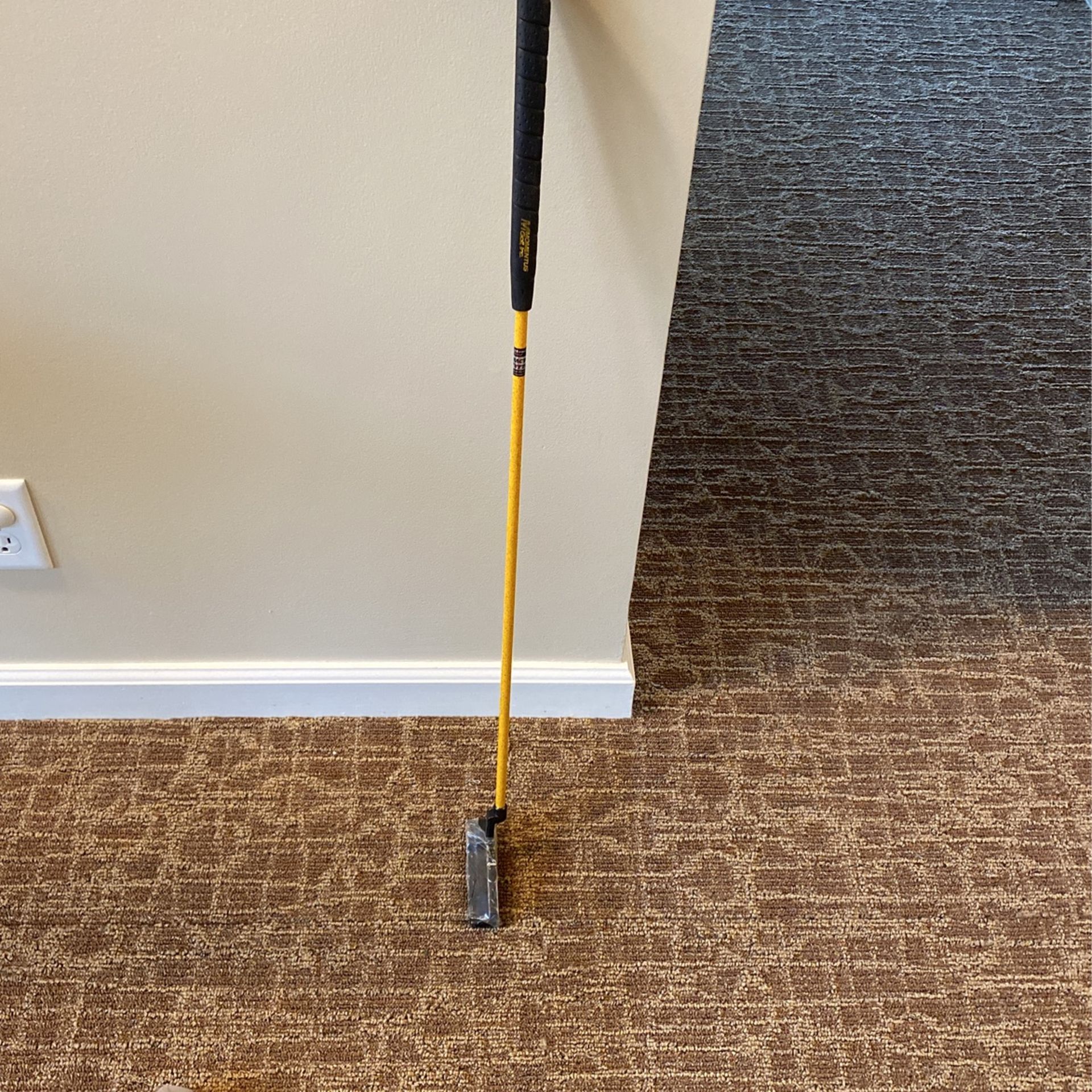 Momentus Practice Putter.