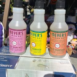 Myers Cleaner 4.00 Each