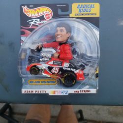 Hot Wheels racing radical rides diagnost Adam petty 45 Sprint Digest Digest 143 scale
