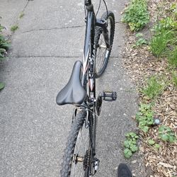 Adult Bicycle (26" Mountain Bike)