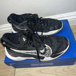 Giannis 4.5 Y With Box