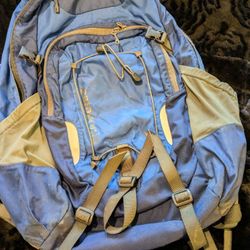 Patagonia Backpack 
