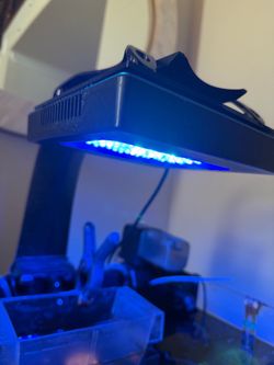 Xr 15 blue gen 5 with mount