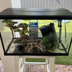 Ten Gallon Fish Tank