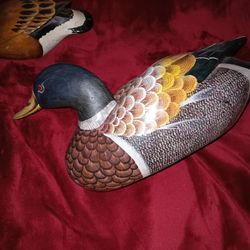 Duck Decoy Large