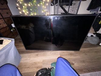 55 Inch Vizio 2018