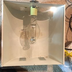 Grow Light