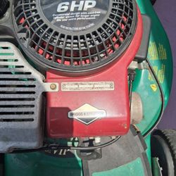 Mower Self Propelled A Beast Working 