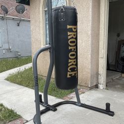 Punching Bag and Stand