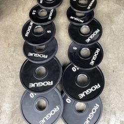 Rogue URETHANE Weights 