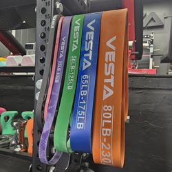 New Resistance Bands! All Sizes! | X Small | Small | Medium | Large | X Large | XX Large | Gym Equipment | Fitness |Commercial Grade | Squat Rack 