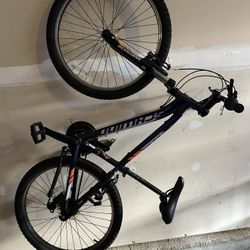 Adult Bike