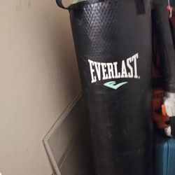 Everlast Punching Bag