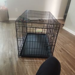 Count our Dogs / Cats Cage 