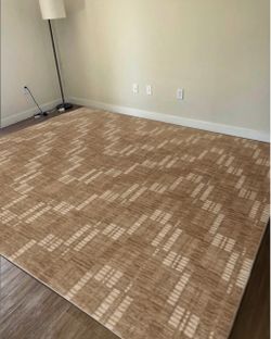 8x10 Area Rug - New