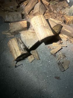 Free, Firewood rounds, eucalyptus wood