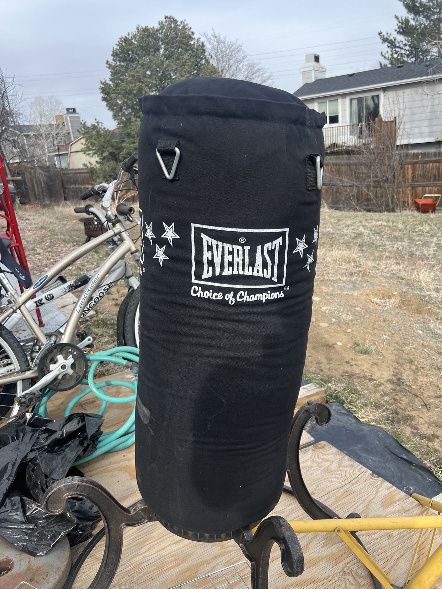 Everlast Punching bag