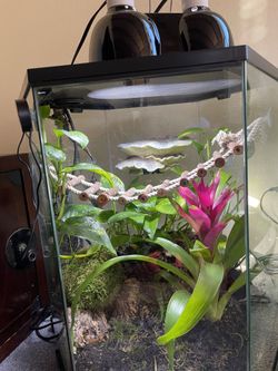 Bio Active