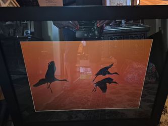 Cranes In Flight