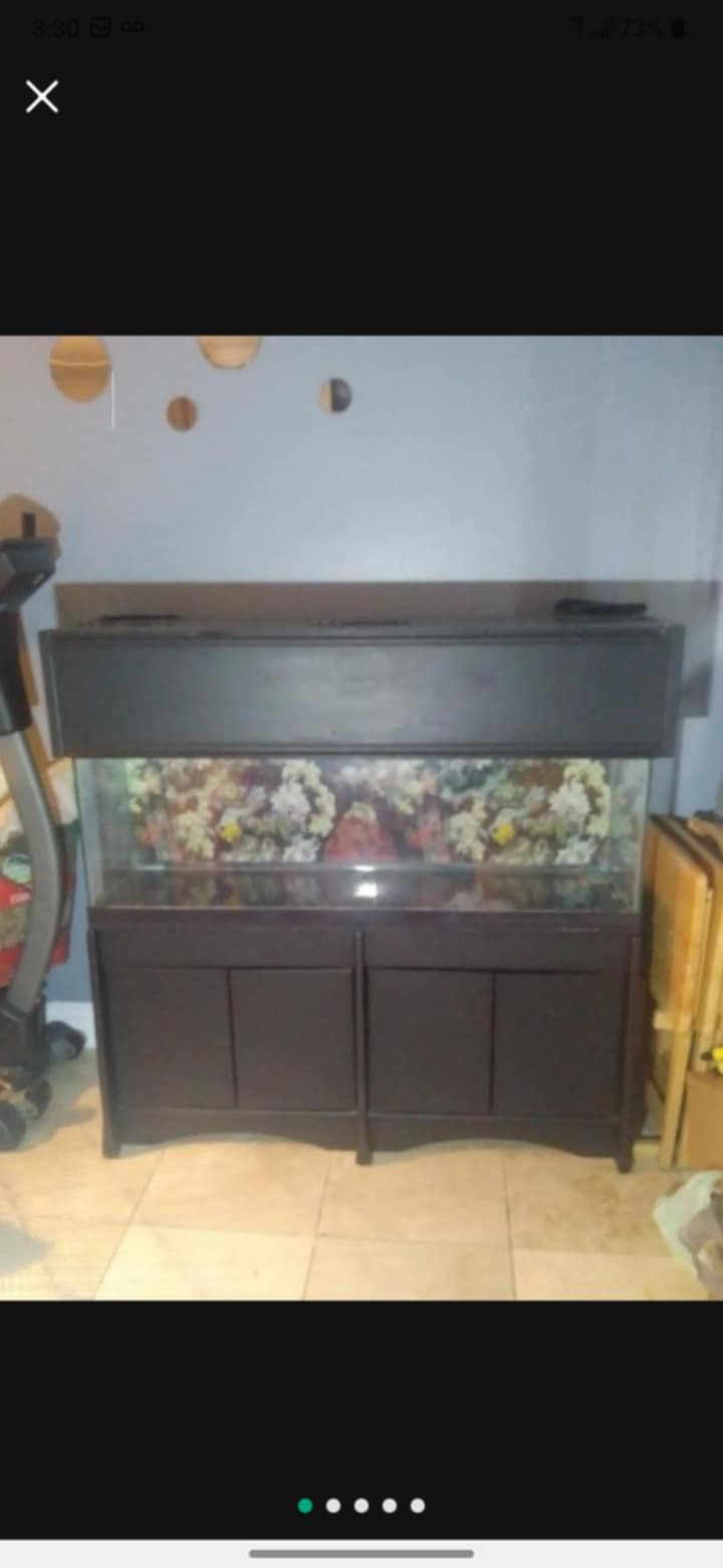 Fish Tank