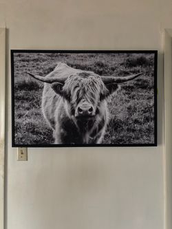 Framed Highland Cow Black and White Canvas Print
