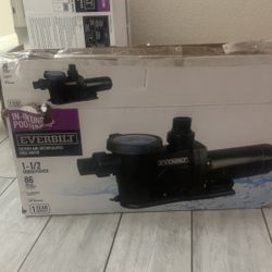 Everbilt 1.5 Hp Pool Pump 