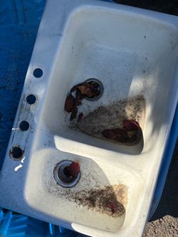 Kitchen Sink free