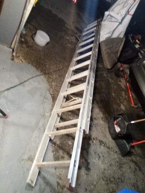 Ladder 60 Buvks