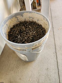 5gallon Bucket Full Of Screws 