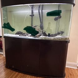 130 Gallons Fish Tank 