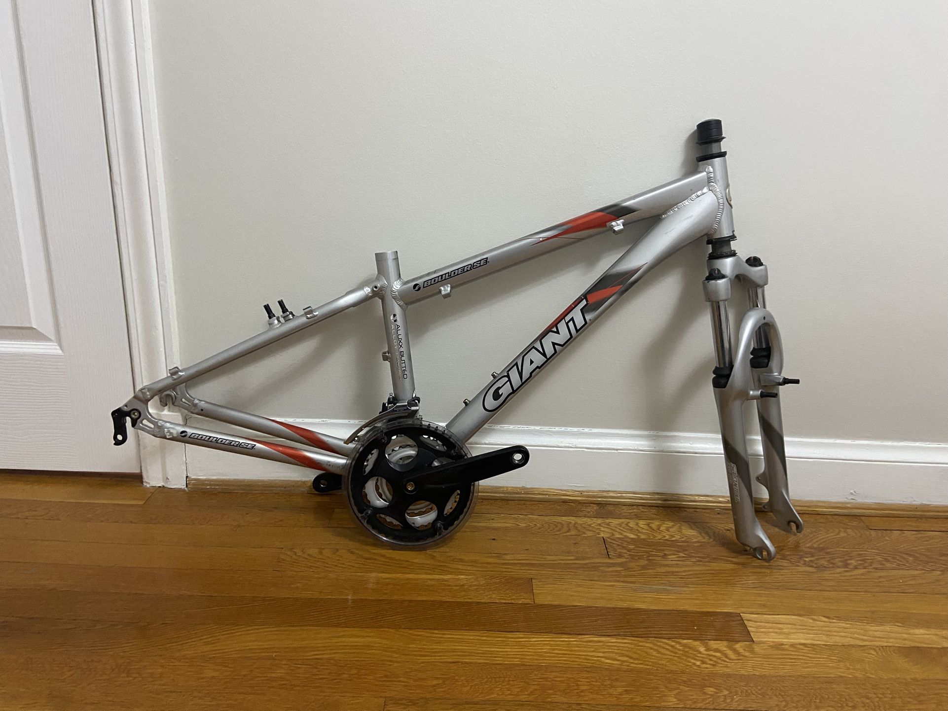 Beautiful Giant Mountain Bike Frame