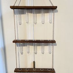 Plant Propagation Vase Wall Hanging Set 