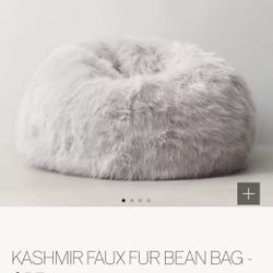 Bean Bag Chair -Restoration Hardware 