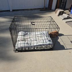 Dog Crate