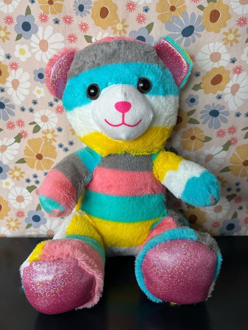 Colorful Teddy Bear