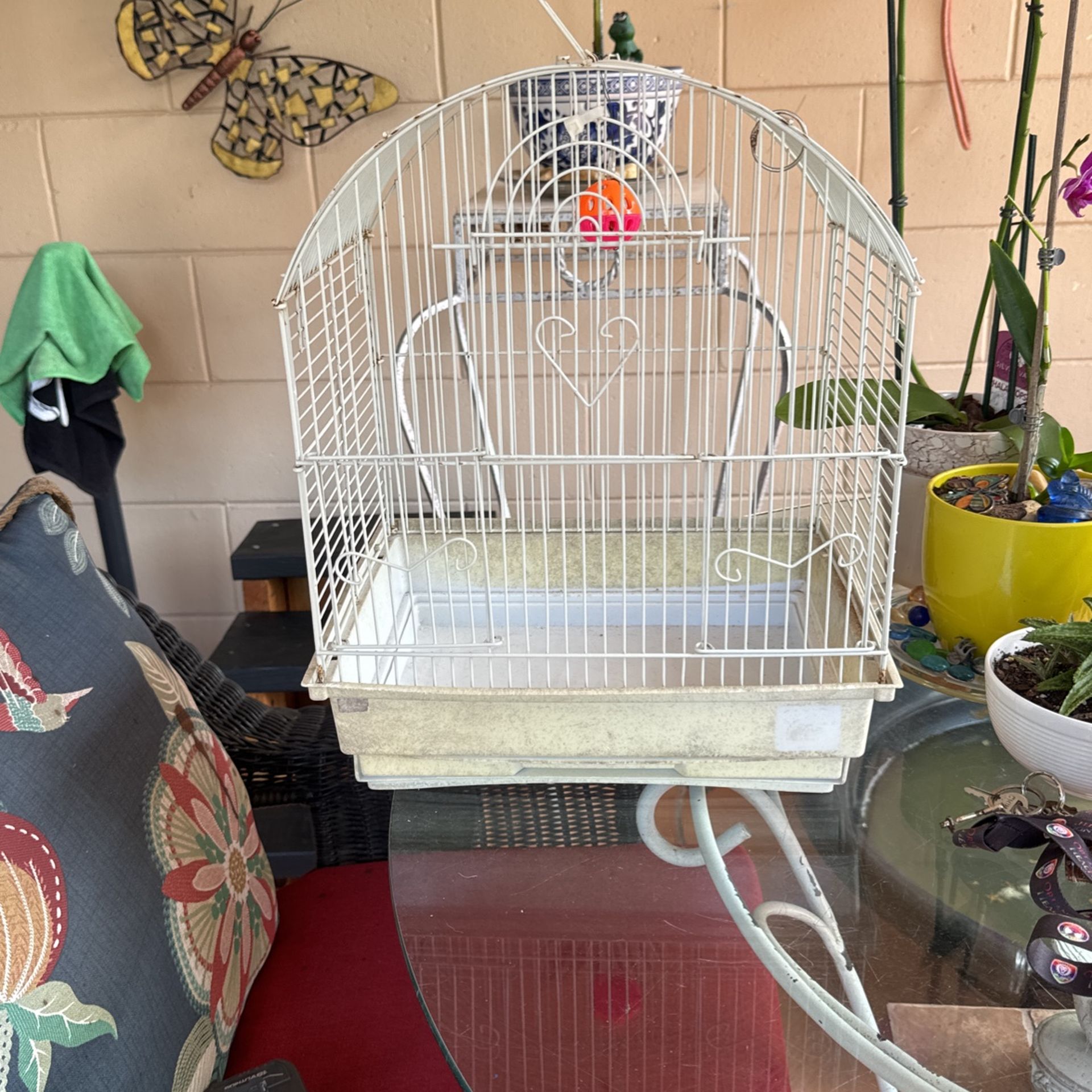 Bird Cage