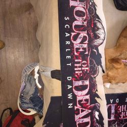 House Of The Dead Arcade Sign