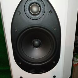 Polk Audio Fx 500 Speakers!