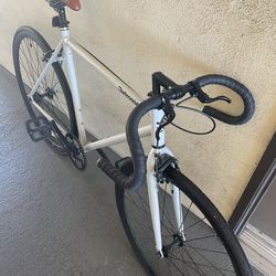 Fixie/Single speed