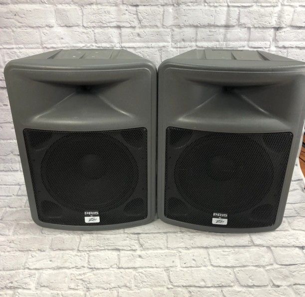 Peavey PR 15 Passive Speakers