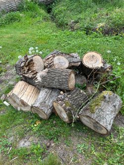 Fire wood
