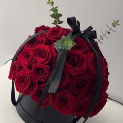 Flower Arrangements