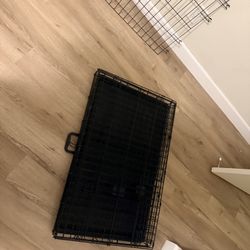 Dog Great For Medium Size Dog 