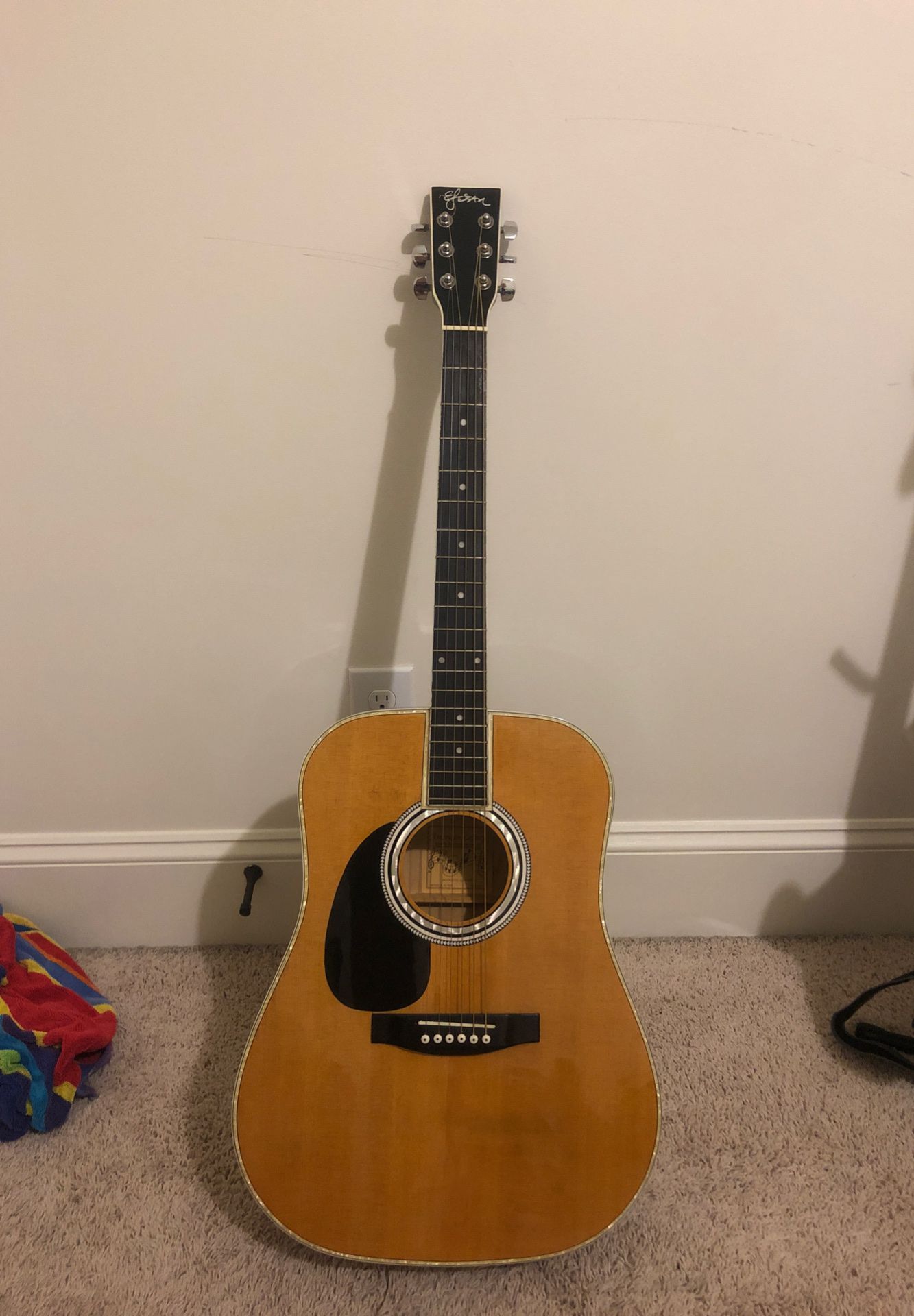 Acoustic guitar (left handed with plugins)